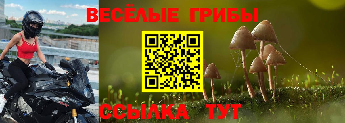 Баксан  Псилоцибиновые грибы мицелий  Вход с VPN 